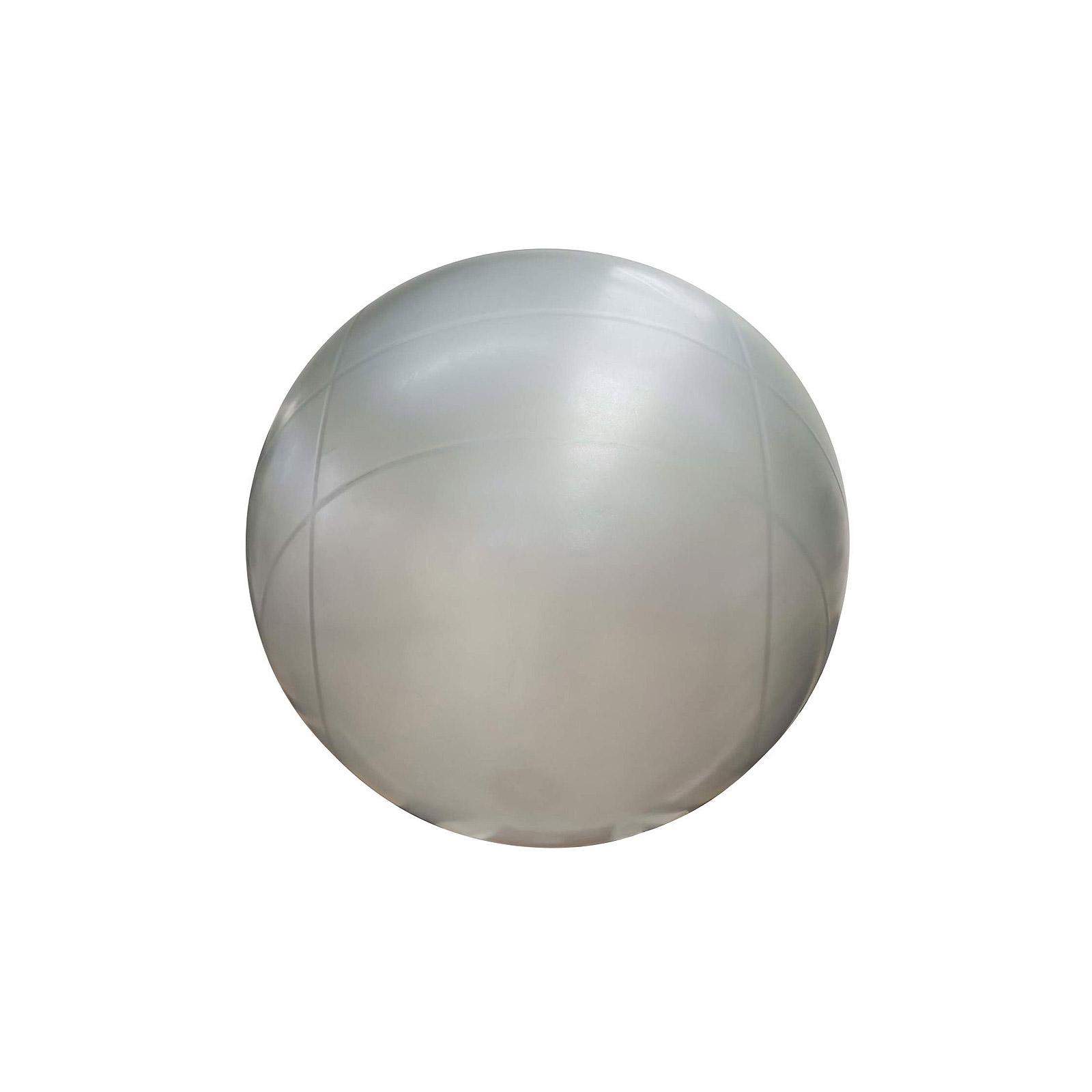 Ballon Fitness - 55 cm - Gris argent