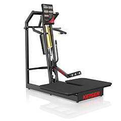 A300 Belt Squat