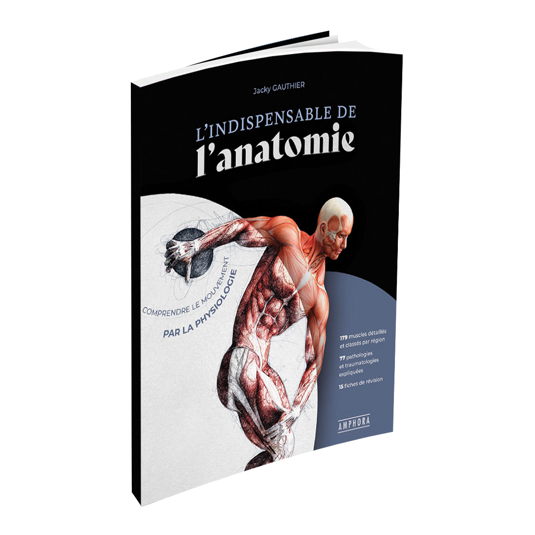 L'indispensable de l'anatomie éditions Amphora