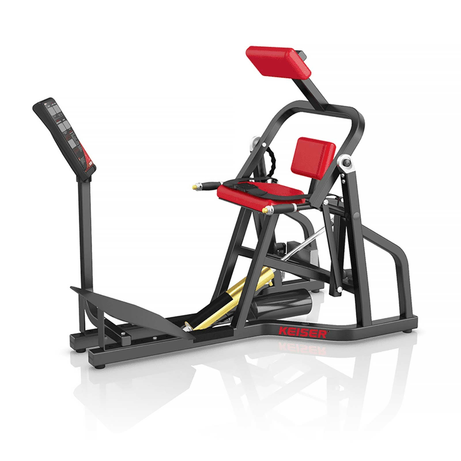 A250 Lower Back Keiser