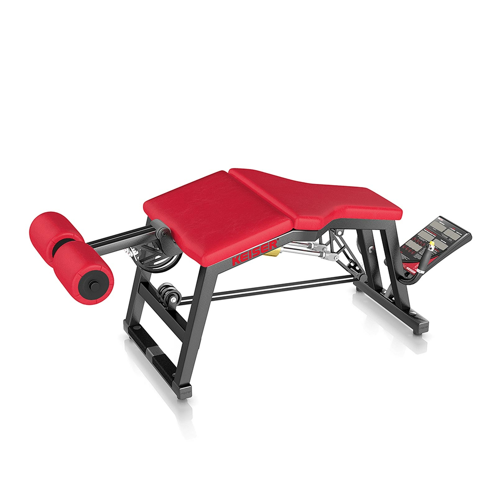 A300 Leg Curl Pro